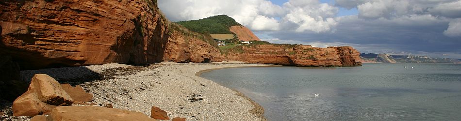 Kayaking Excursions in Devon